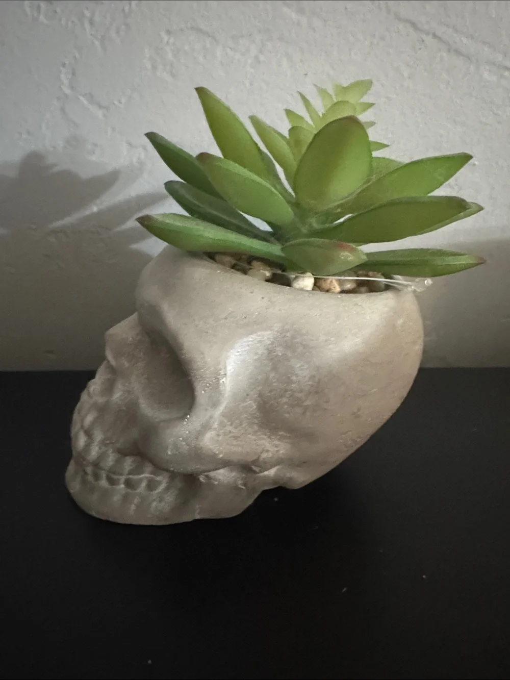 Gray Skull Planter with Green Faux Succulent
